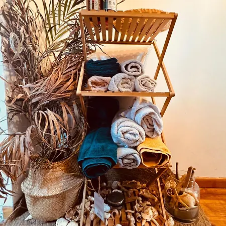 Maison Entiere Zen Avec Sauna * Ronchin